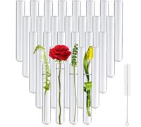 Ferenando 30-Paquete Tubo de Prueba de Vidrio de Borosilicato con Cepillo, 20mm de OD x 150mm de Longitud, Tubos de Ensayo Cristal de Fondo Redondo para Flores, Plantas, Decorativos & Laboratorio
