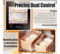 Fermentadora De Masa Eléctrica Comercial De 40 Litros - Gabinete De Fermentación De Acero Inoxidable Con Temperatura Y Humedad Ajustables For Pan Pizza Croissants Y Repostería(220v)