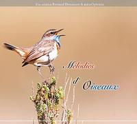 Fernand Deroussen - Mélodies d'oiseaux