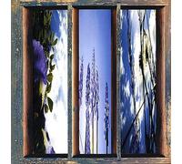 Fernando Dreams of the Sun and Sky (CD)