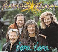 Fernando Express - Goodbye bora bora [Single-CD]