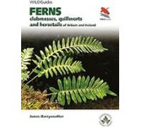 Ferns : Clubmosses Quillworts And Horsetails Of Britain And Ireland