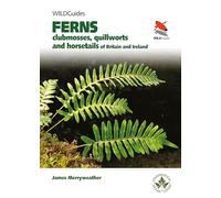 Ferns: Clubmosses, Quillworts and Horsetails of Britain and Ireland: 31 (WILDGuides)