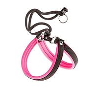 FERPLAST ARNES AGILA Fluo 1 Pink