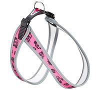 FERPLAST ARNES AGILA Selfie 5