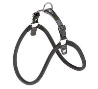 FERPLAST ARNES AGILA Sport 8 Black