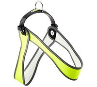 FERPLAST ARNES AGILA Sun 6