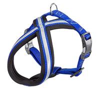 Ferplast Arnés para Perros Daytona Cross, Arnés para Perros de Nylon de Talla Pequeña, Acolchado, Reflectante y Ajustable. con Hebilla magnética. Azul