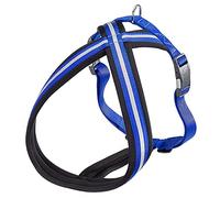 Ferplast Arnés para Perros Daytona Cross, Arnés para Perros de Talla Grande en Nylon, Acolchado, Reflectante y Ajustable. con Hebilla magnética. Azul