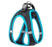 Ferplast Arnés Perro Grande Kaori L, Arnés Perro Transpirable, Acolchado y Ajustable, Fácil de Llevar, Bordes Reflectantes, Pecho 48-54 cm. Azul