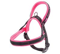 Ferplast Arnés Sport Dog, Arnes Perro pequeño, Arnes Tipo Sueco, Suave Acolchado, Costuras Reflectantes, Cierre de Clip, Ajustable, Etiqueta para el Nombre del Perro, Fucsia