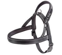 FERPLAST ARNES Sport Perro P L Gris