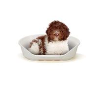 Ferplast Cama para Perros Cama Perro Grande, 100% plástico Reciclado, Lavable Transpirable y Antideslizante - Siesta Deluxe, 82 x 59,5 x 25 cm, L, Blanco