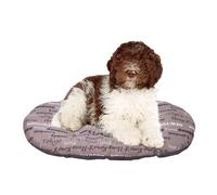 Ferplast - Cama para Perros y Gatos - Cojín para Perros medianos - Colchón para Perros - Colchoneta para perreras y Coches - Relax, 78 x 50 CM, Marron
