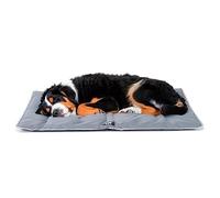 FERPLAST - Cama para Perros y Gatos - Perrera Lavable Muy Grande - Colchoneta para Perros - Impermeable y a Prueba de arañazos - Cojín Suave para Perros - Jolly, 108 x 79 CM, Gris