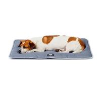FERPLAST - Cama para Perros y Cama para Gatos - Perrera pequeña Lavable - Colchoneta para Perros - Impermeable y a Prueba de arañazos - Cojín Suave para Perros - Jolly, 65 x 48 CM, Gris