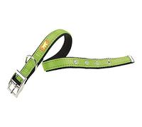 Ferplast Collar Dual CF25 53 Col Green
