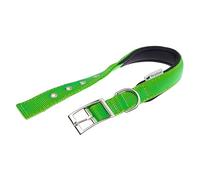 Ferplast Collar para Perro, tamaño Mediano-Grande, de Nailon Acolchado, con Hebilla metálica Ajustable, para Cuello de 34 a 42 cm, Color Verde.