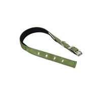 Ferplast Collar para Perros pequeños, Ajustable, Acolchado, de Nailon, con Hebilla metálica, Talla de Cuello 23-31 cm, Color Verde Oscuro