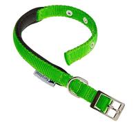 Ferplast Collar para Perros pequeños, Ajustable, Acolchado, de Nailon, con Hebilla metálica, Talla de Cuello 23-31 cm, Color Verde