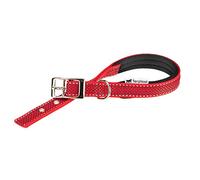 Ferplast Collar Perro Daytona Deluxe, Collar Perros Pequeño, Collar de Nylon Reflectante, Acolchado, Ajustable 35-43 cm con Hebilla Metálica, Rojo-Negro.