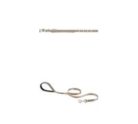 Ferplast Collare Cane Regolabile in Nylon Misura Collo 15-22 cm.+ Guinzaglio per Cani in Nylon 120 cm, Small, BLU