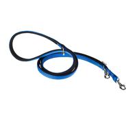 Ferplast Correa Nylon Daytona Ga20 200 Azul 20 mm x L 200 cm