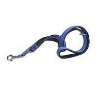 Ferplast Correa para Perros Daytona, Correa Extensible para Perros de Tamaño Mediano, 200 cm, Correa de Adiestramiento, con Cómoda Asa Acolchada y Mosquetón de Metal. Azul