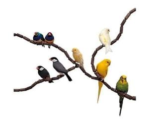 Ferplast Flexi Perch 4190 Bird Perch Brown 1,2 cm 84190799