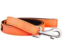 Ferplast guinzaglio cane cani nylon doppia fettuccia colori DUAL G COLOURS