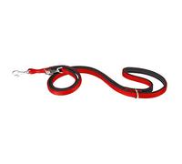 Ferplast Guinzaglio per Cani Daytona, Guinzaglio Allungabile per Cani Taglia Piccola, 200 cm, Guinzaglio da Addestramento con Comoda Impugnatura Imbottita e Moschettone in Metallo. Rosso