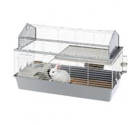 Ferplast Jaula Conejos Barn 120 - Hábitat Interactivo en 2 Niveles, Techo Abrible - Puerta y Escalera - Accesorios Incluidos, Fácil Limpieza - Eco-Sostenible - 119 x 58 x h 77 cm
