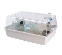 Ferplast Jaula de plástico para hámsteres y ratoncillos MINI DUNA HAMSTER de dos pisos, Rejilla de ventilación y accesorios, Techo transparente, alambre pintado Blanco y plástico, 55 x 39 x h 27 cm