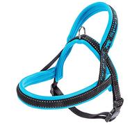 Ferplast Pettorina Cane SPORT DOG, Pettorina Cane Taglia Piccola, Pettorina Svedese, Imbottitura Soffice, Cuciture riflettenti, Chiusura con Clip a Scatto, Etichetta per nome dell'animale, Blu