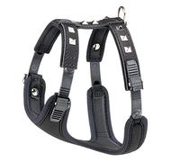 Ferplast Pettorina per Cani GIOTTO LUXOR SMALL, in Vera Pelle con Borchie Argentate