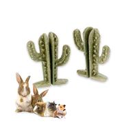 Ferplast Snack Natural para Roedores, Hámsters, Cobayas y Conejos, Favorece la Higiene Dental, Estimula el Juego y Ofrece Sabor y Bienestar Diario, con Forma de Cactus