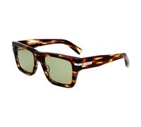 FERRAGAMO, GAFAS DE SOL, SF2033S, 53-145-20, STRIPED BROWN, Modified Rectangle