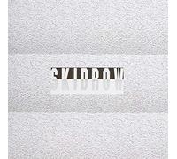 Ferraro, James - Skid Row