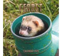 Ferret Calendar 2026: 14-Month Organizer from Nov 2025 to Dec 2026 | Perfect for Home, Office, School & Family Scheduling, For Men , Women , Girls , Boys