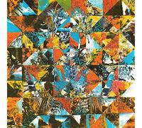 Ferrio - Amongst the Coyotes Andbirdsongs [Vinilo]