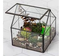Ferrisland Terrario de Vidrio para Plantas, contenedor Wardian para Interiores, pequeño terrario suculento con Puerta para decoración de Mesa, Regalo de Bricolaje, 5 x 4.3 x 4.3 Pulgadas