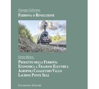 Ferrovia o rivoluzione. Progetto della ferrovia economica a trazione elettrica Agropoli Casalicchio Vallo Laurino Ponte Sele (Passato e presente)
