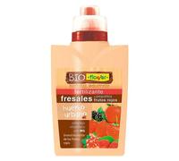 Fertilizante para fresas y arándanos (500 ml)