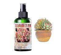 Fertilizante Para Plantas Suculentas - Fertilizante Para Suculentas Plantas En Macetas De Interior | Fertilizante Para Plantas Alimenticias De Cactus De 150ml, Fertilizante Líquido, Alimento Para