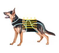 Férula dorsal para perro IVDD, refuerzo dorsal para IVDD, protección de espalda ayuda a aliviar el dolor, recuperación(2XL)