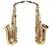 Fesjoy 802 Tipo de Llave Eb Alto Saxofón, Saxo de Cuerpo Lacado con Oro con Cepillo de Limpieza, Tela, Correa, Estuche Acolchado para Jugador