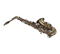 Fesjoy Saxofón Alto en Mi Bemol de Latón con Exquisitos Patrones Tallados para Músicos de Jazz y Clásicos Estuche Transporte Paño Limpieza Correas para Saxofón