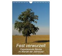 Fest verwurzelt - Faszinierende Bäume im Wandel der Jahreszeit (Wandkalender 2026 DIN A4 hoch), CALVENDO Monatskalender: Kahl oder mit üppigem ... jeder Jahreszeit ein eindrucksvoller Anblick
