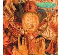 Festerdecay - Reality Rotten To The Core [Vinilo]