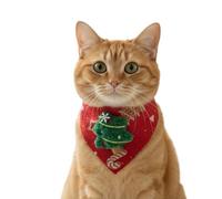 Festive Cat Bandana - Pet Collar for Holiday | Plush Adjustable Christmas Dress Up Outfit, Cute Pet Bandana for Family Gathering Photoshoot Role Play Performance Home